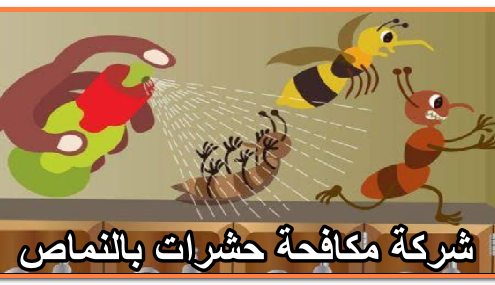 شركة مكافحة حشرات بالنماص