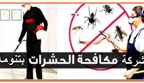 شركة مكافحة حشرات بتنومه