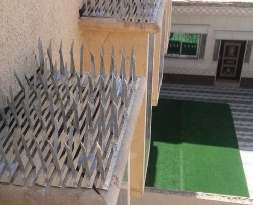 شركة تركيب طارد الحمام بينبع