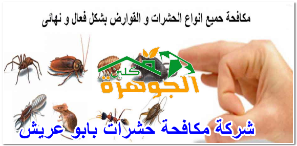 شركة مكافحة حشرات بابو عريش 0565409064
