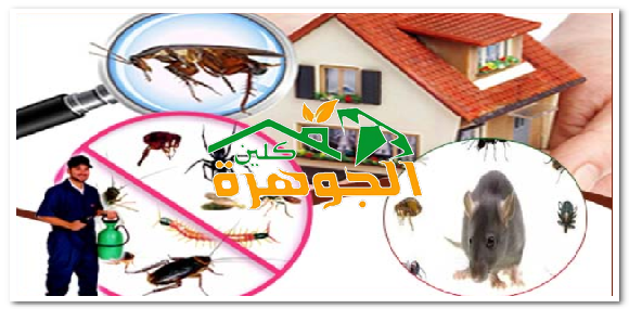 شركة مكافحة حشرات باحد المسارحة للايجار 01025284450
