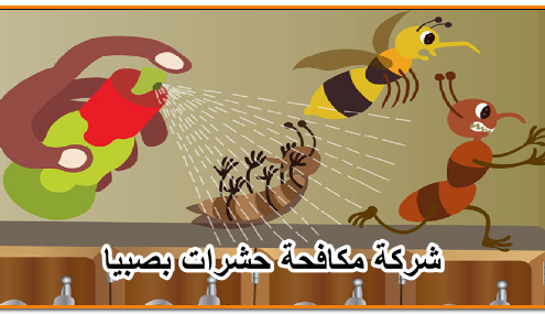 شركة مكافحة حشرات بصبيا