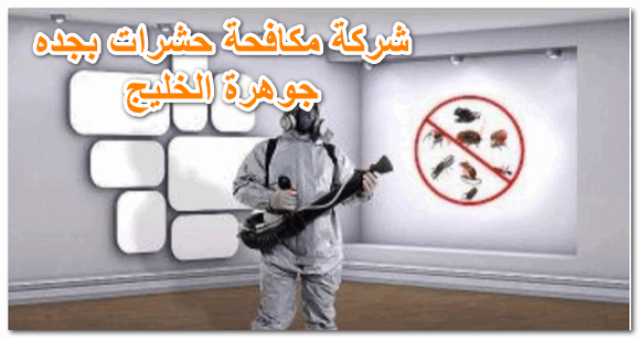 شركة مكافحه الحشرات بجده