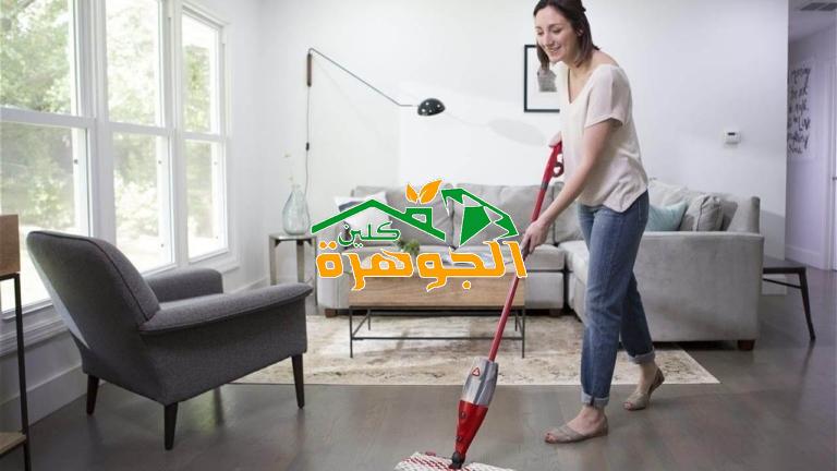 شركة تنظيف بابها للإيجار 01098424259