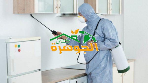 شركة الصفرات لمكافحة الحشرات بالرياض