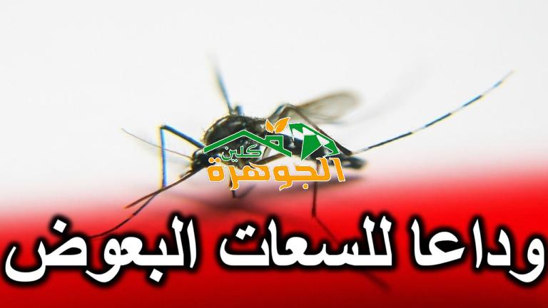 شركة مكافحة البعوض بالجبيل
