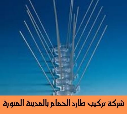 شركة تركيب طارد الحمام بالمدينة المنورة