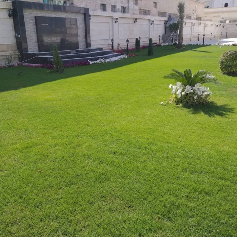 شركة تركيب عشب صناعى بالطائف 0559203941