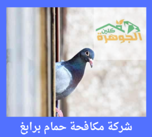 شركة مكافحة حمام برابغ