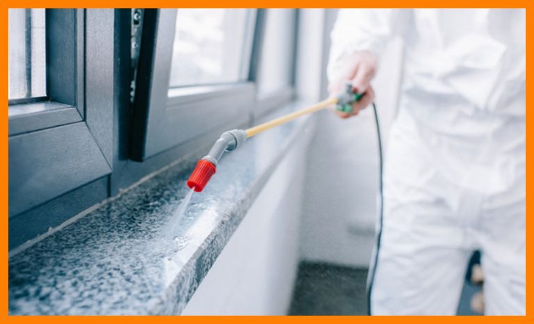 شركة رش مبيدات بصامطة للايجار 01025284450
