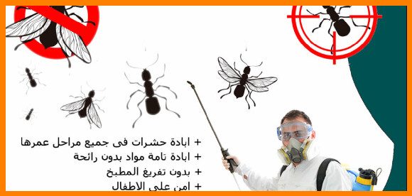 شركة مكافحة حشرات بأحد المسارحة للايجار 01025284450