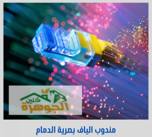 مندوب الياف بصرية stc الدمام