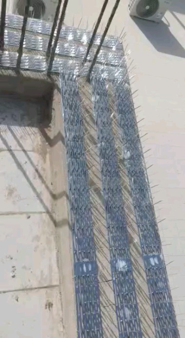 شركة مكافحة حمام بالاحساء