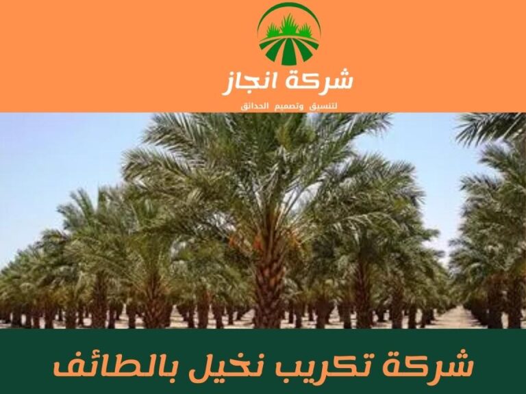 شركة تكريب نخيل بالطائف للايجار 01025284450
