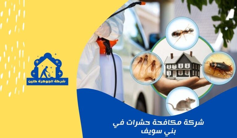 شركة مكافحة حشرات في بني سويف 01558611924