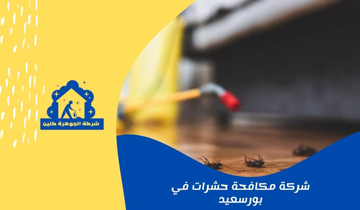 شركة مكافحة حشرات في بورسعيد