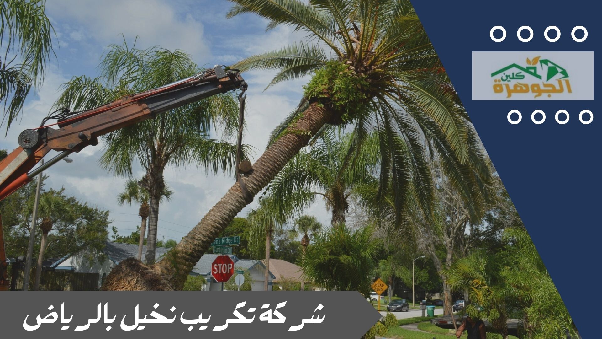 شركة تكريب نخيل بالرياض شركة تكريب نخيل بالرياض