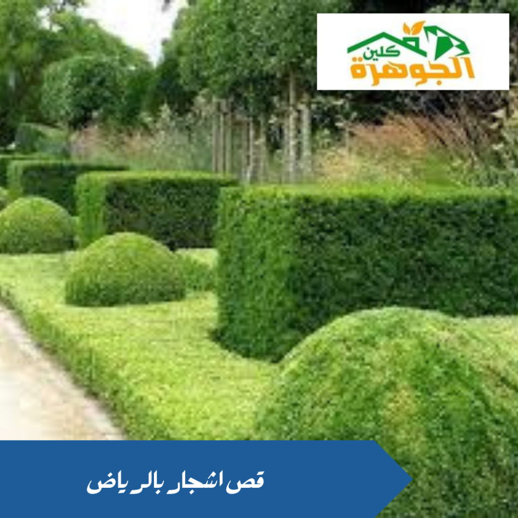 قص شجر بالرياض