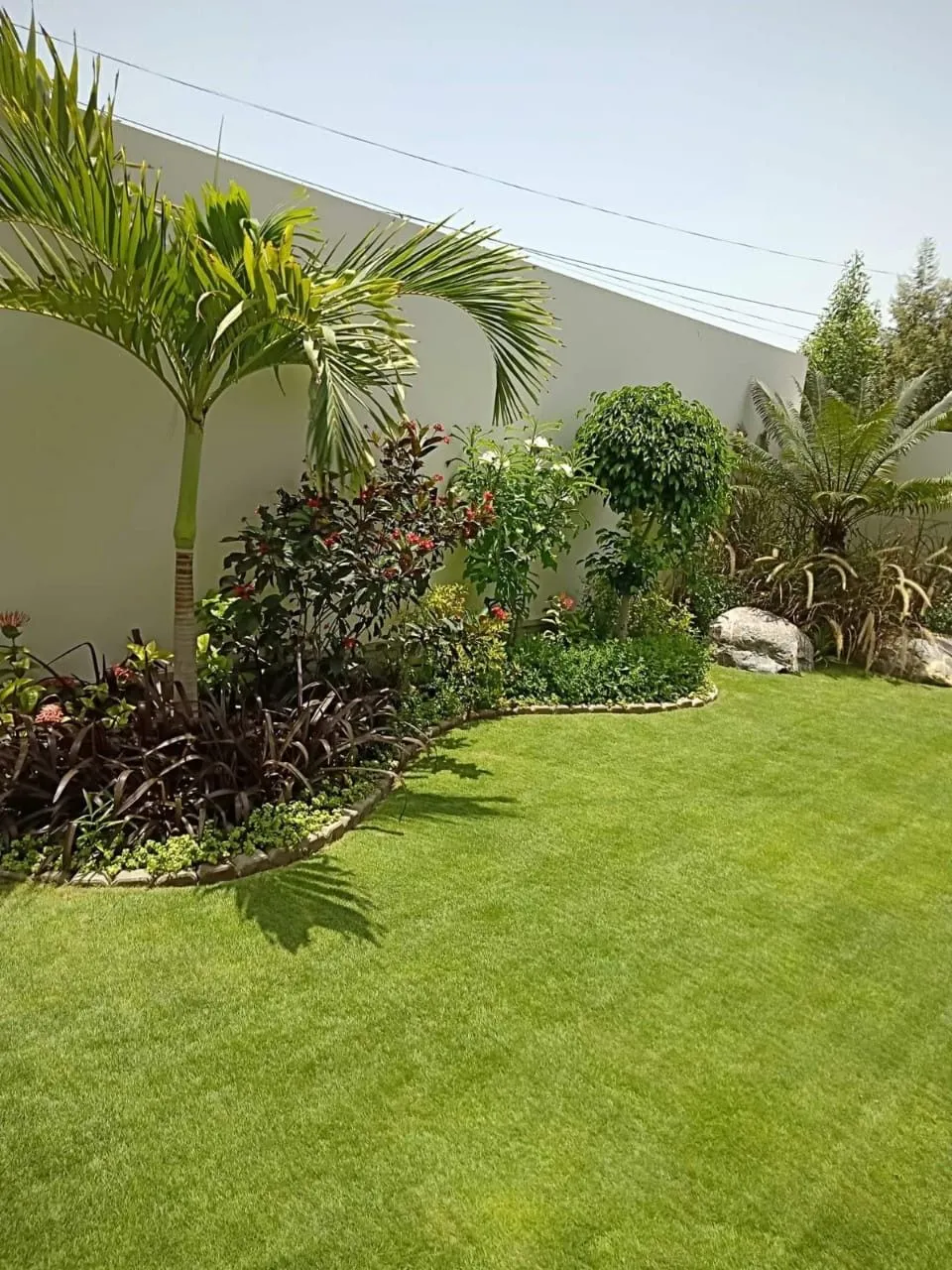 تنسيق حدائق بالطائف