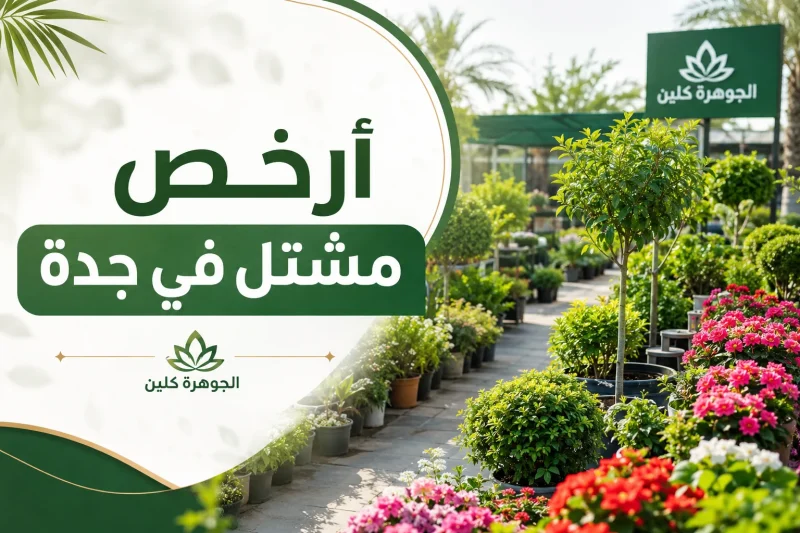 أرخص مشتل في جدة 0562021763